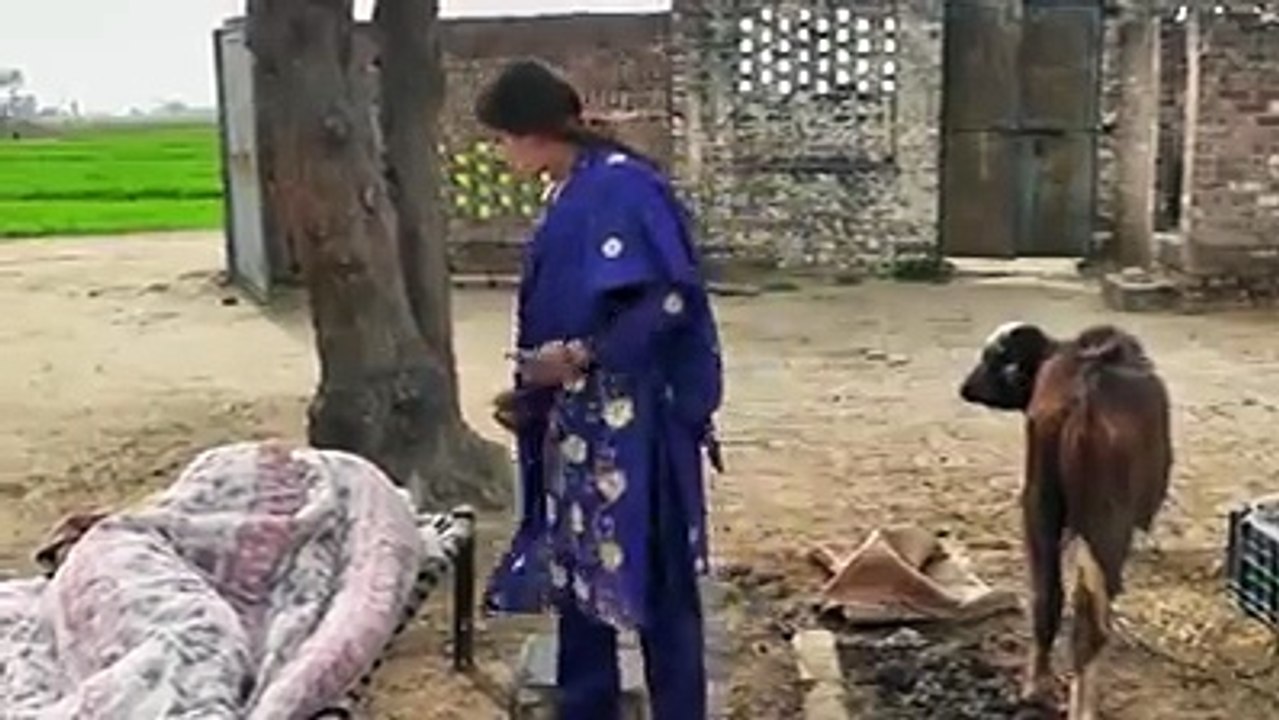 Charsi ke Andaaz