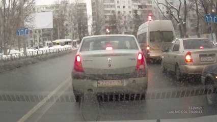 Running Dog Causes Car Accident