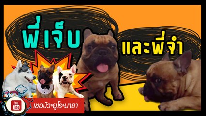 เชอบัว ยูโร มายา ตอนที่ 53 พี่เจ็บและพี่จำ