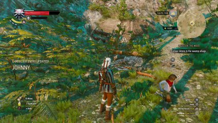 THE WITCHER 3 WALKTHROUGH PART 48 - LADIES OF THE WOOD