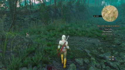 THE WITCHER 3 WALKTHROUGH PART 42 - CIRI'S STORY THE KING OF THE WOLVES
