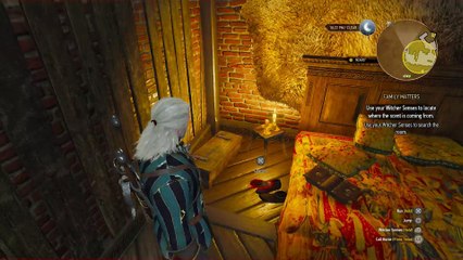 THE WITCHER 3 WALKTHROUGH PART 43 - FAMILY MATTERS