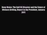 PDF Deep Water: The Gulf Oil Disaster and the Future of Offshore Drilling: Report to the President