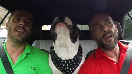 Необычное трио)