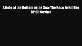 PDF A Hole at the Bottom of the Sea: The Race to Kill the BP Oil Gusher [Read] Full Ebook