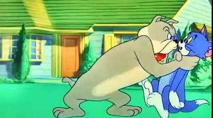 Hic cup Pup - Tom and Jerry Cartoon