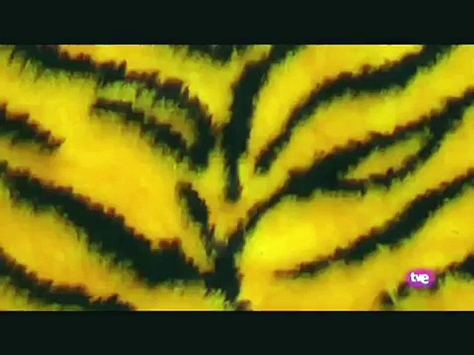 George de la jungla- Intro
