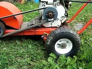 stump grinding southside