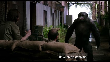 El Planeta De Los Simios: Confrontación - Clip Koba (HD)