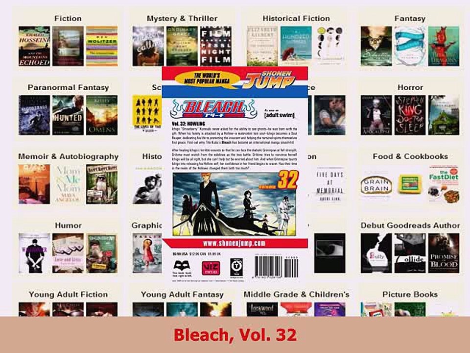 PDF  Bleach Vol 32 Read Online