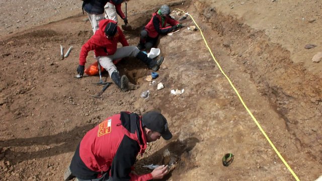 Los fósiles de dinosaurios de la Patagonia chilena