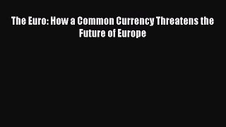 Download The Euro: How a Common Currency Threatens the Future of Europe Free Books