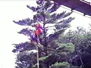 Récupération passerelle 7 août 93