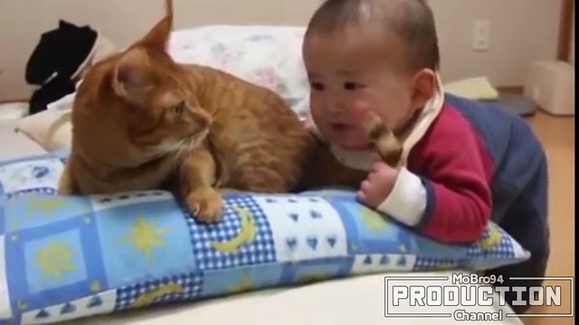 Babies annoying cats – Funny baby & cat compilation