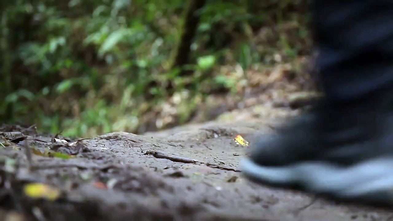 TEASER VIEW FINDER DREAMLIST | EP.2 | อาทิตย์ 22 พ.ย.58 เวลา 09.