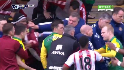 Игрок Сандерленда головой збил рекламный щит