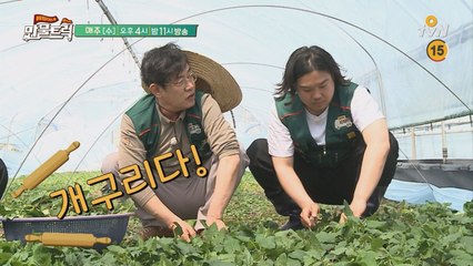 [10회선공개] 천하의 이경규 잡는 '개구리'?