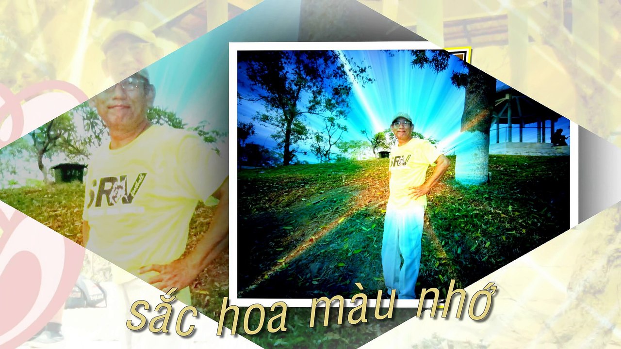 sac hoa mau nho