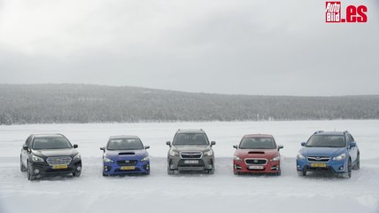VÍDEO: Así es el gama 4x4 de Subaru, de todo y para todas las necesidades