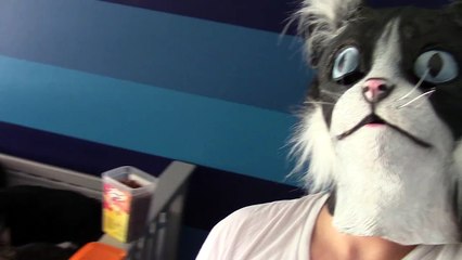 Cat Dad Feeds His Kitties In Cat Mask Fail