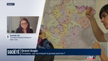 Grand Angle: Primaires Américaines - qui va croquer la Grosse Pomme?