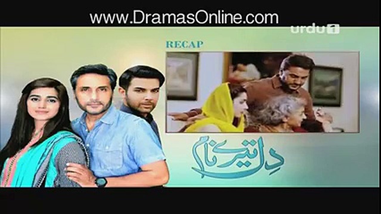 Dil Teray Naam Episode 17  18th April 2016