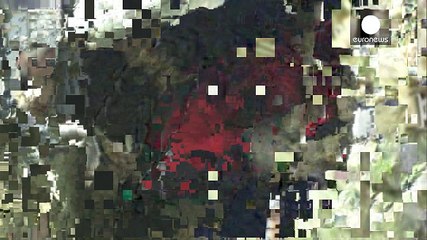 Sismo no Japão: Mais de 600 réplicas registadas e 45 mortos já confirmados