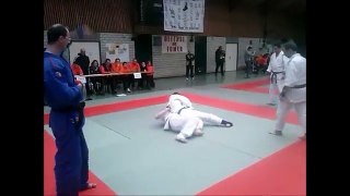 jujitsu fighting