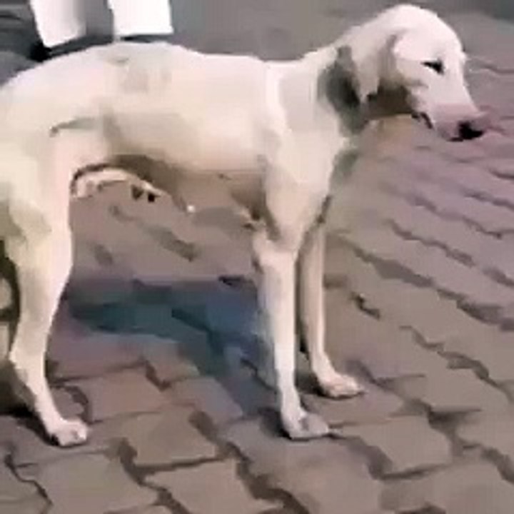 VID-20151201-WA0007