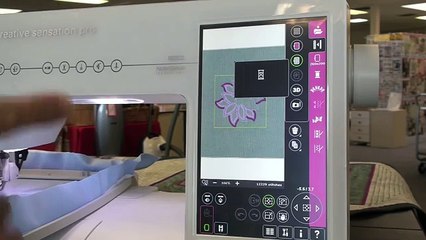 Pfaff Creative Sensation Pro, class 2 embroidery 195