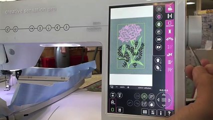 Pfaff Creative Sensation Pro, class 2 embroidery 206