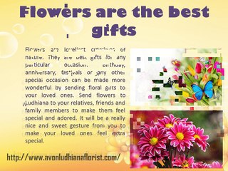 Mother's Day Flowers Delivery In Ludhiana