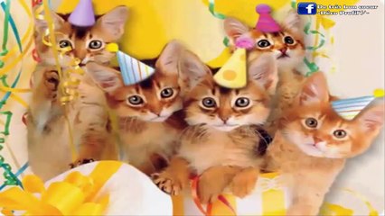 Bon anniv Fabienne !