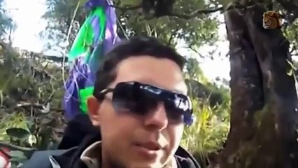 Top 10 BEST Eagle Attacks on Human   Crazy animal attack people