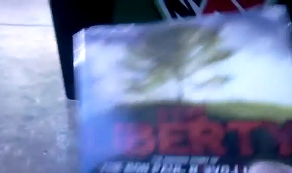 Going Gonzo at Red Box for Ron Paul