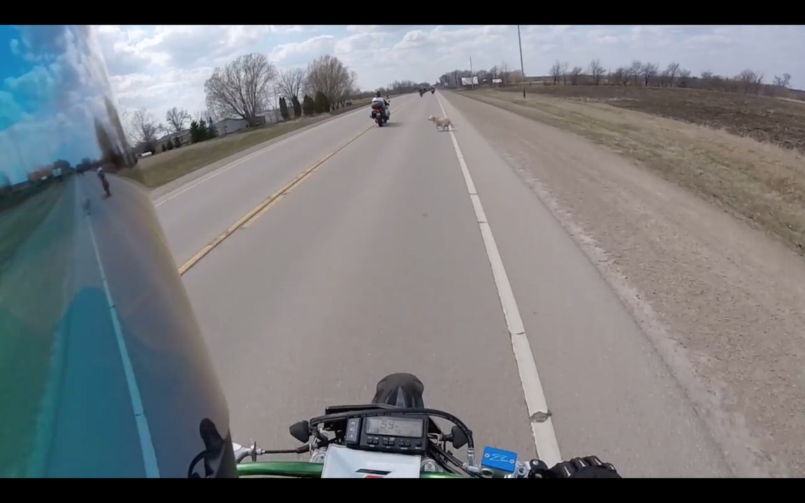 Un chien provoque un accident de motos