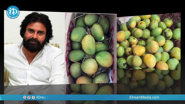 Pawan Kalyan Not Sending Mangoes This Year - iDream Filmnagar