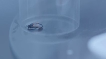 Equals - Official Trailer