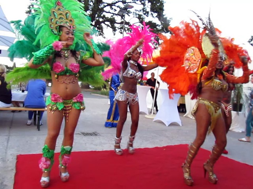 Carmen Elbklinikum 2015