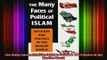 Read  The Many Faces of Political Islam Religion and Politics in the Muslim World  Full EBook