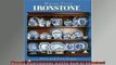 Free PDF Downlaod  Masons Vista Ironstone Schiffer Book for Collectors  DOWNLOAD ONLINE