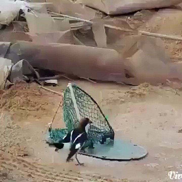 Don't Caught Me
