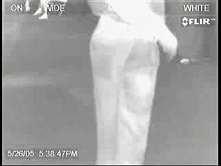 Un pet en infrarouge