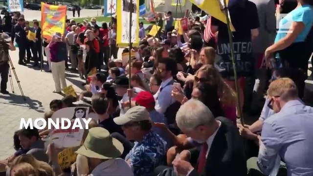 Co-founders of Ben & Jerry's arrested at Capitol