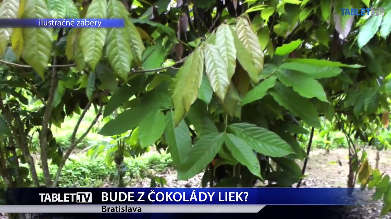 Dá sa čokoládou bojovať proti vysokému krvnému tlaku?