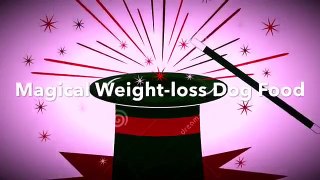 Magical Weight loss Dog Food