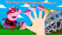Peppa Pig Spider Man 4 Finger Family \ Nursery Rhymes Lyrics