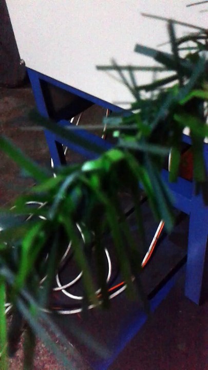 DEKOR ÇİMLİ  ÇİT  TELİ-ÇİMLİ  ÇİT TELİ İMALAT MAKİNESİ