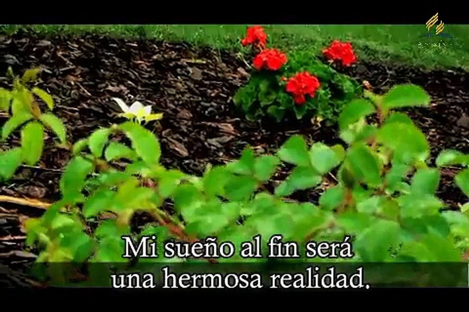 El Cielo es Jesús - Arautos do Rei