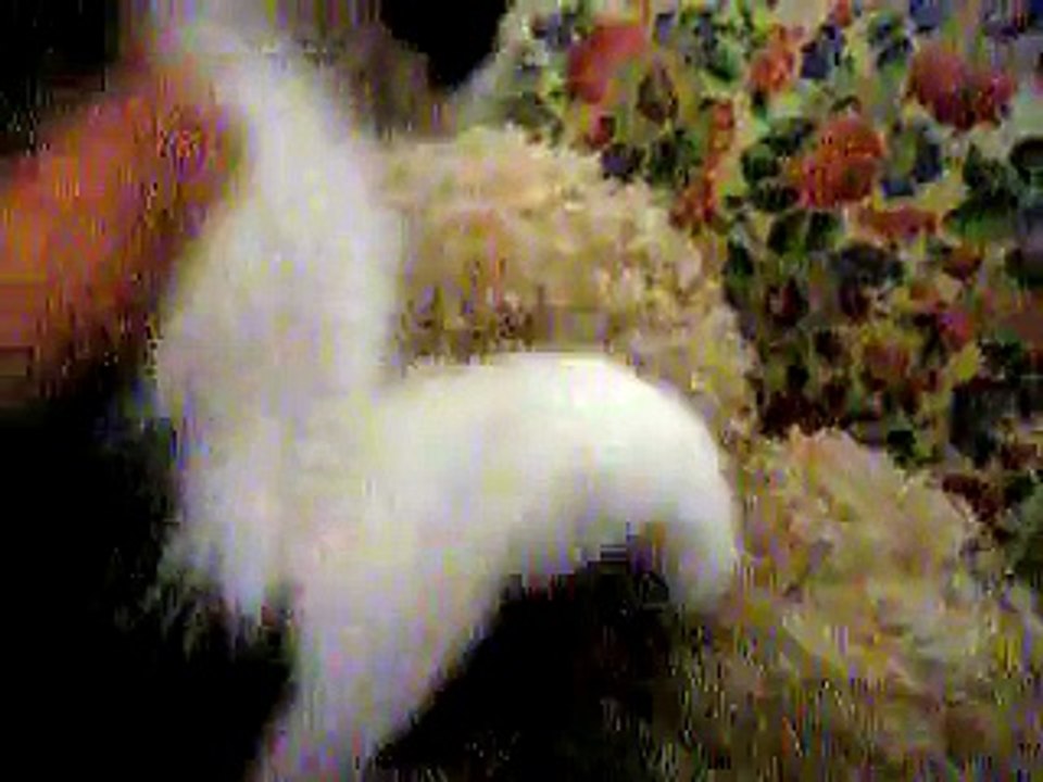Mili y tomando la teta..